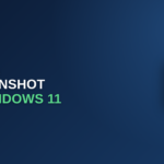 screenshot on Windows 11